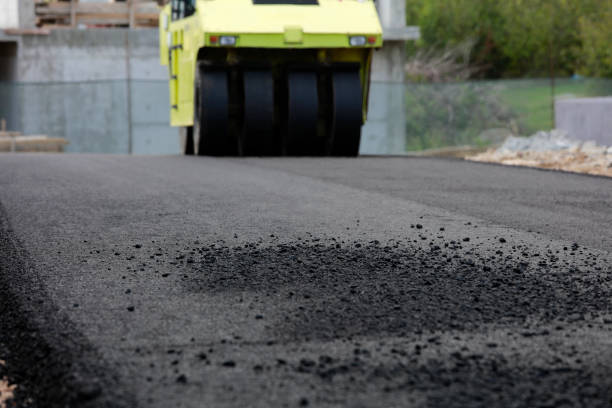 Best Professional Driveway Pavers  in Deerwood, TX
