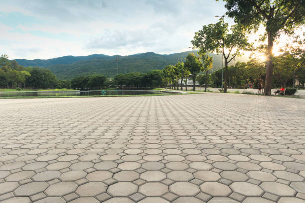 Best Driveway Paving Contractor  in Deerwood, TX