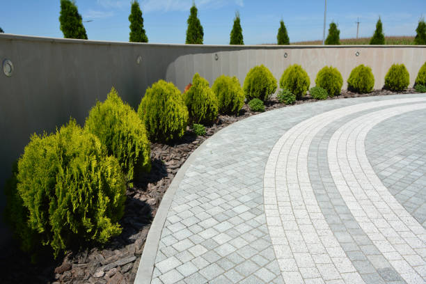 Best Concrete Paver Driveway  in Deerwood, TX